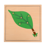 montessori botany leaf puzzle