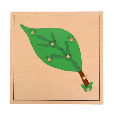 montessori botany leaf puzzle