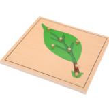 montessori wooden leaf puzzle