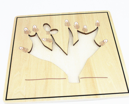 Montessori wooden root puzzle