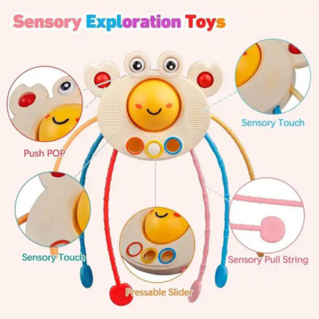 sensory exploration toy sensory toys for infants crab baby toy